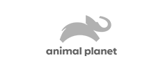 animalplanet